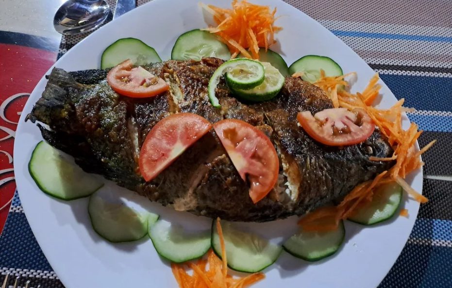 Tayari Luxury Tented Camp – Masai Mara