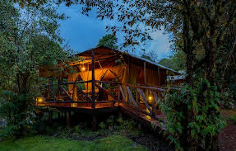 Tayari Luxury Tented Camp – Masai Mara