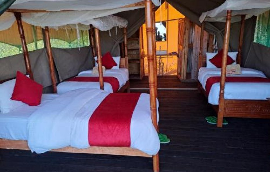 Tayari Luxury Tented Camp – Masai Mara