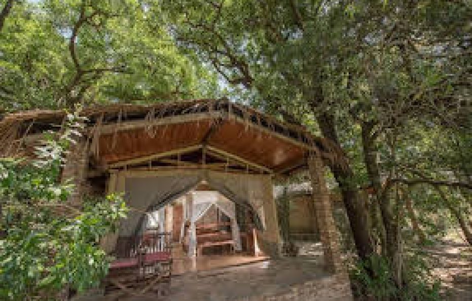 Tayari Luxury Tented Camp – Masai Mara