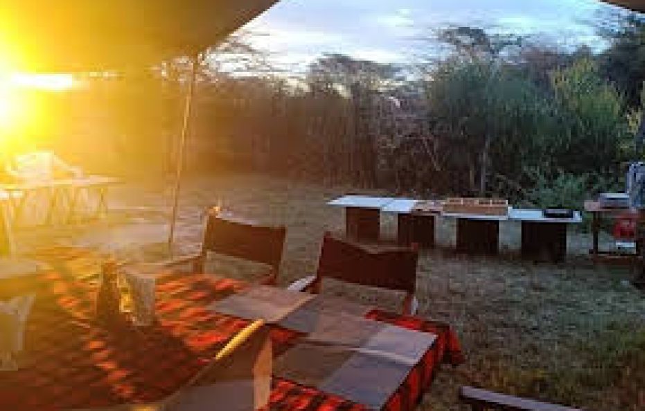 Tayari Luxury Tented Camp – Masai Mara